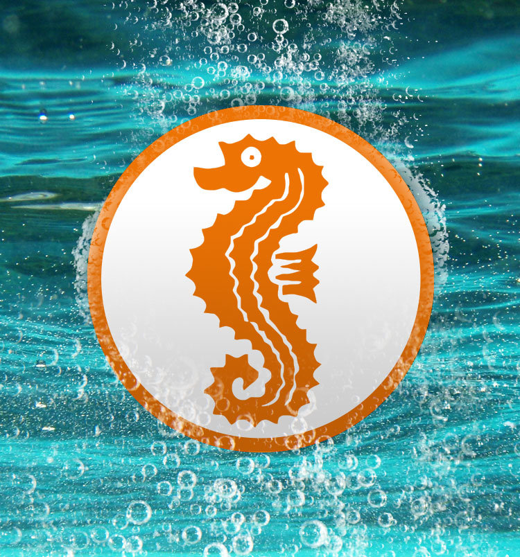Frühschwimmerabzeichen 